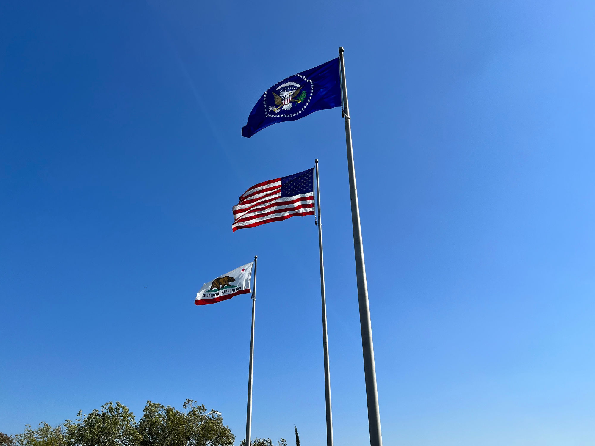 Nixon Library Flags