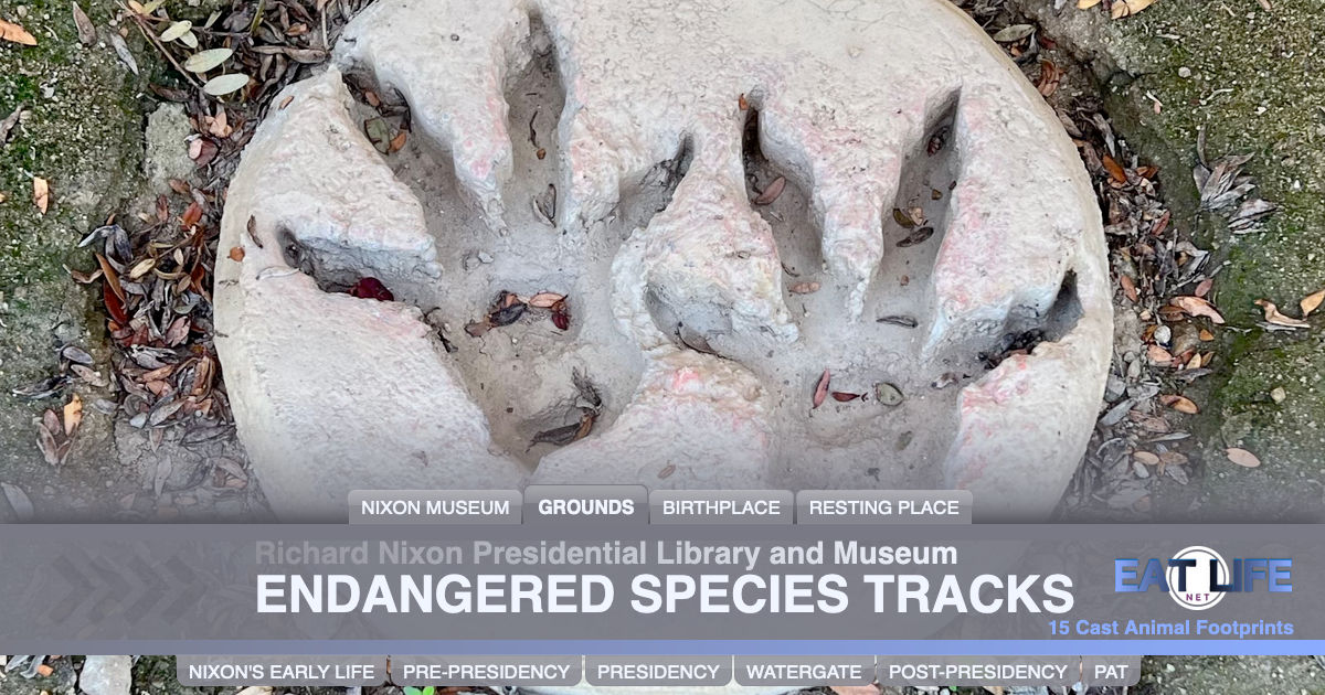 Endangered Species Tracks