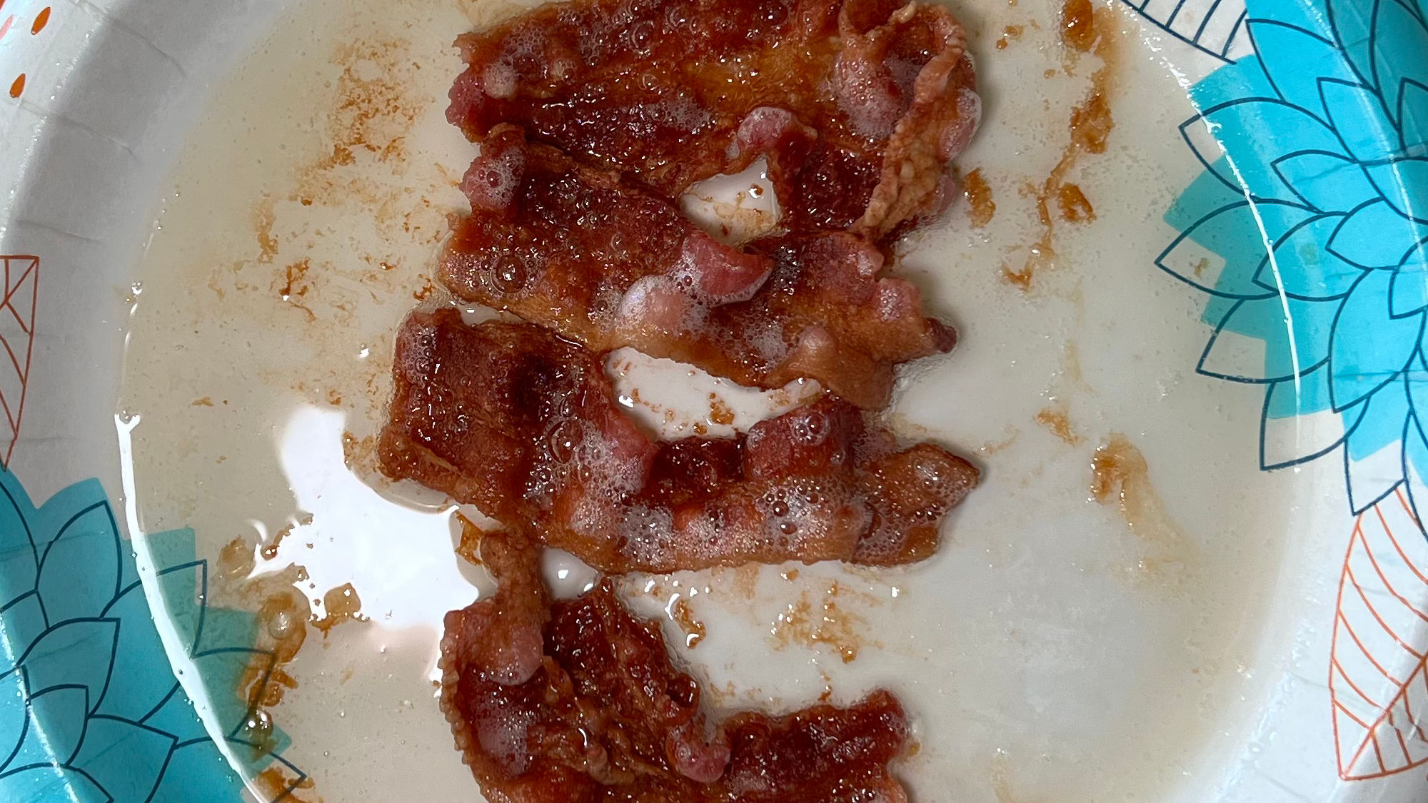 Microwave Oven Bacon 3 Minutes