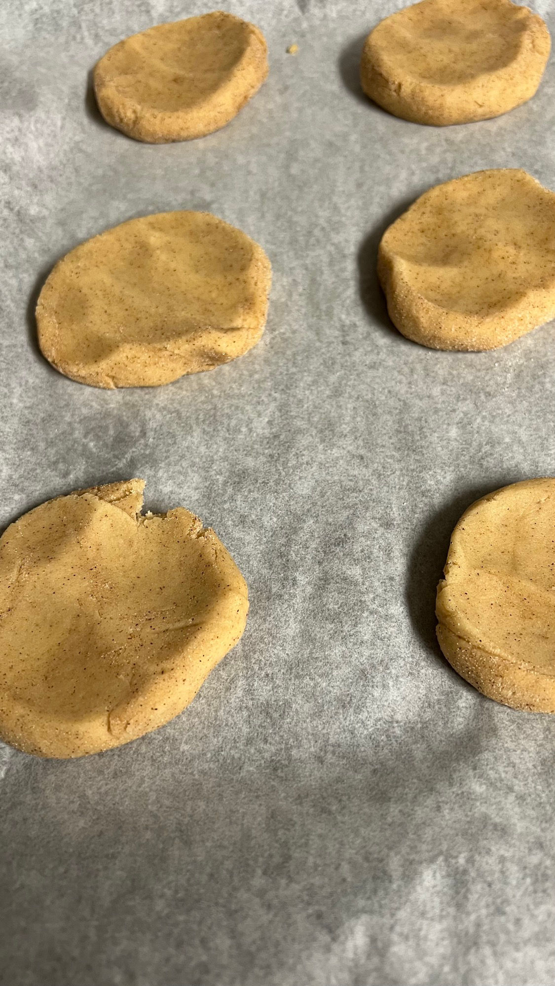 Snickerdoodles Cookie Dough