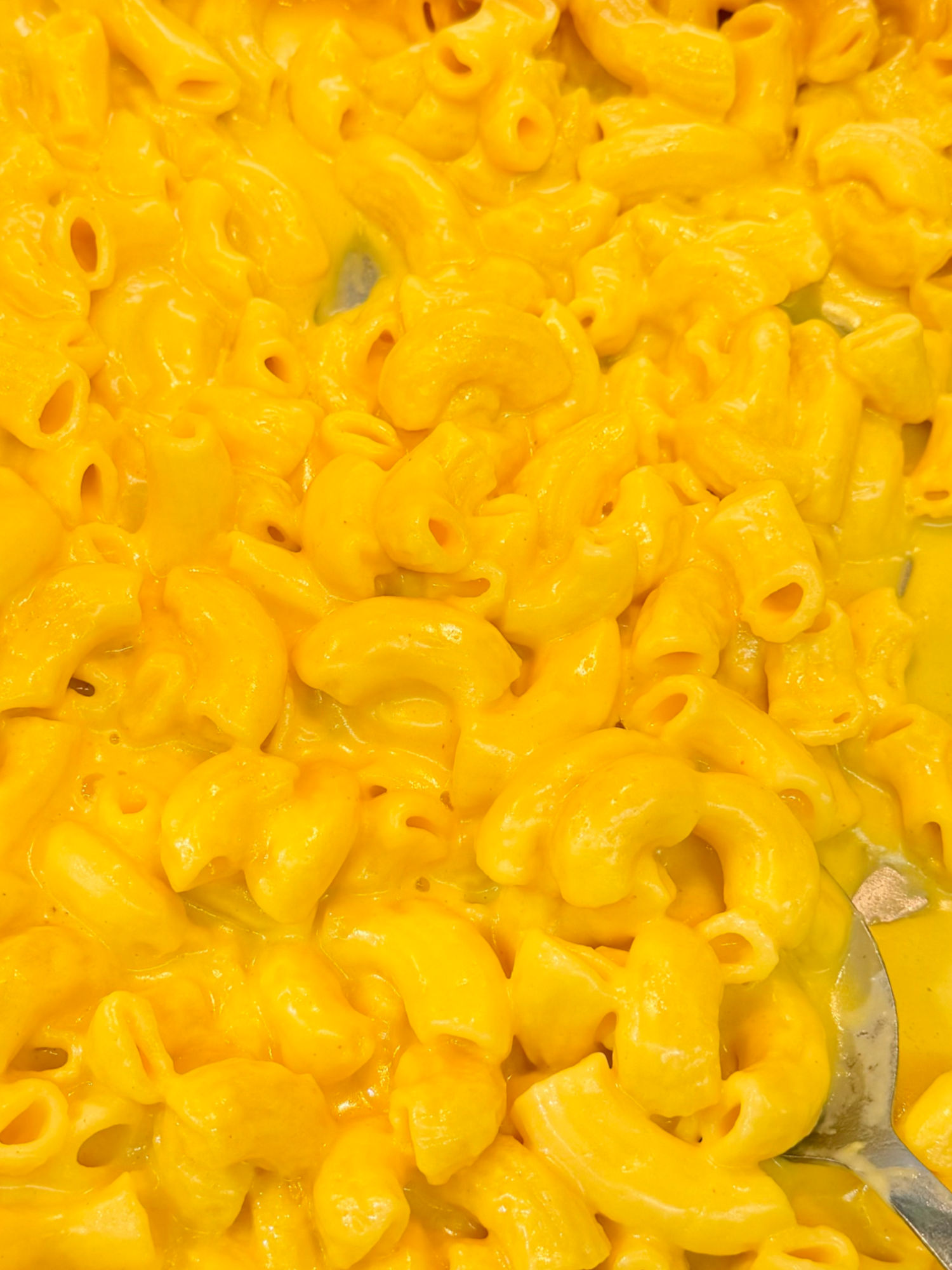 Amazon Fresh Macaroni and Cheese