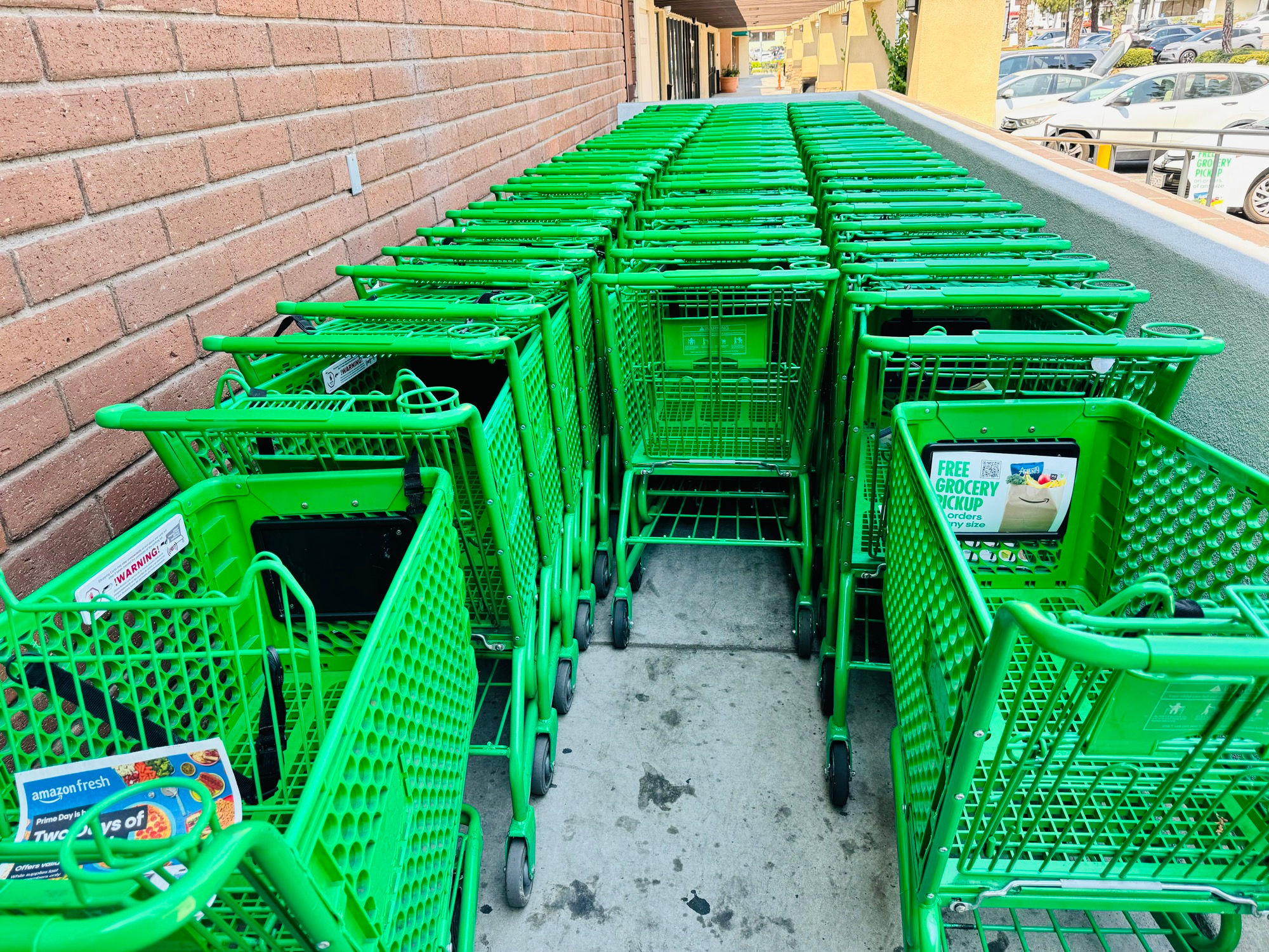 Amazon Fresh Standard Shopping Carts