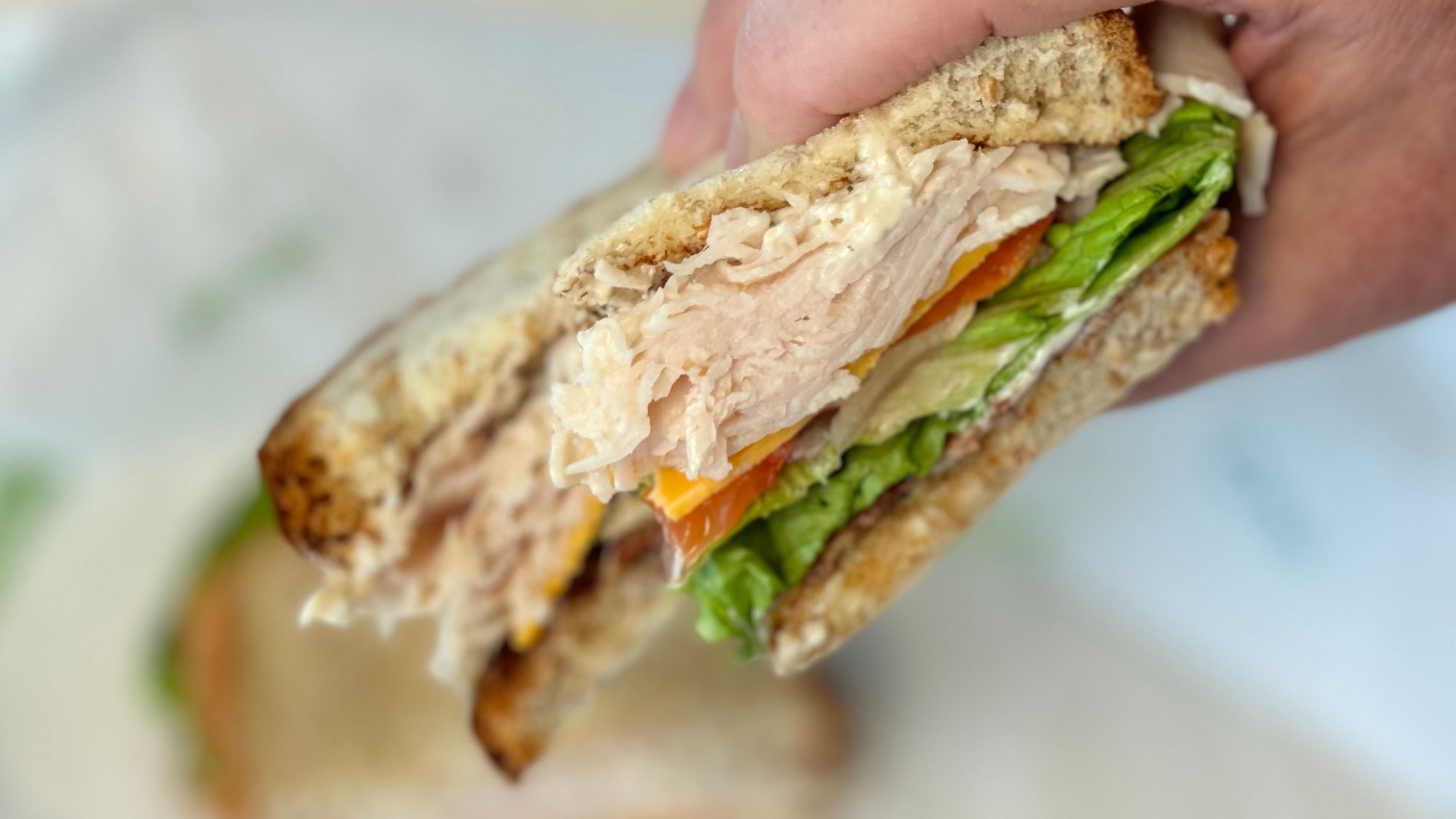 Arby's Turkey Sandwich