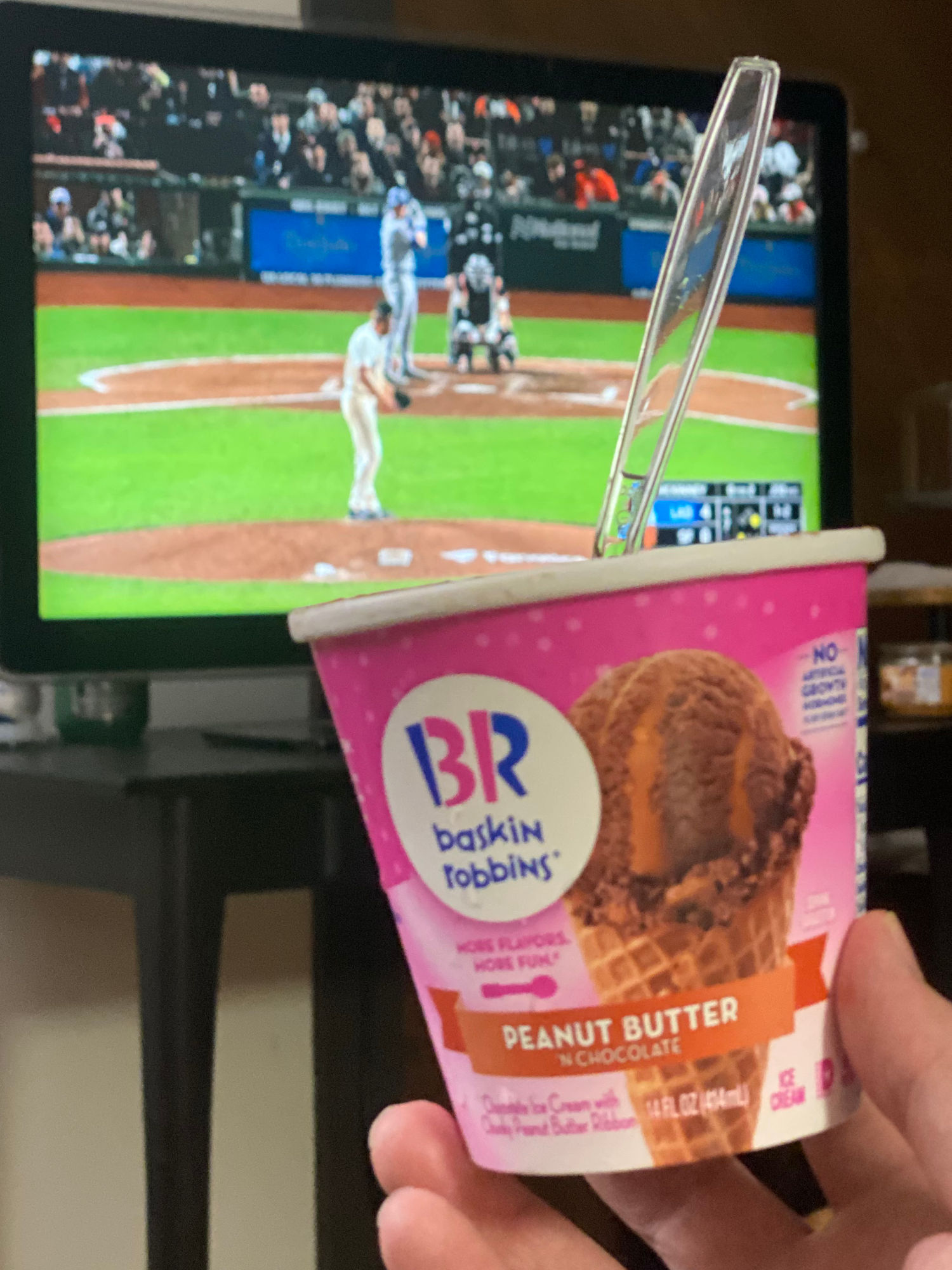 Baskin-Robbins Peanut Butter 'N Chocolate Pint