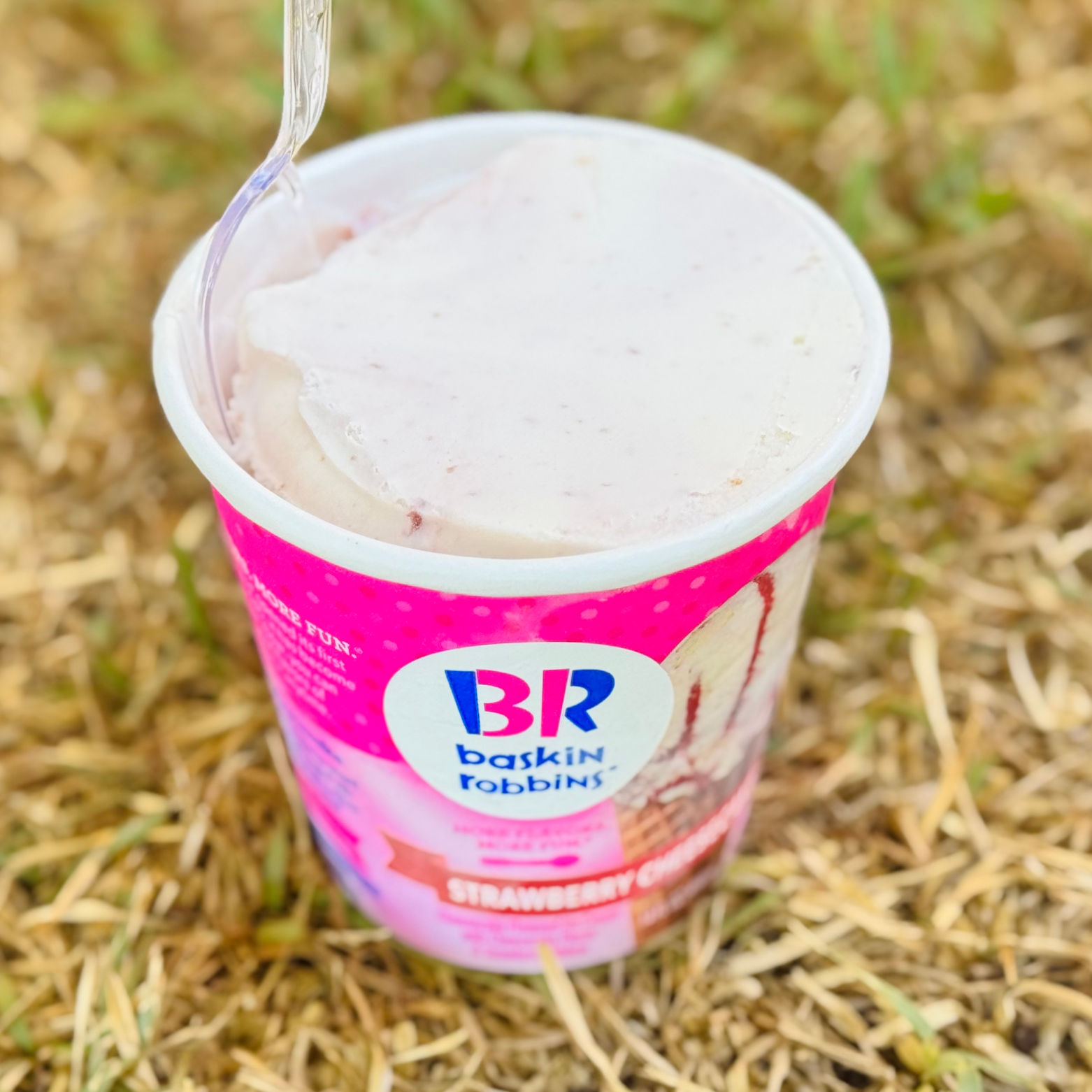 Baskin Robbins Strawberry Cheesecake