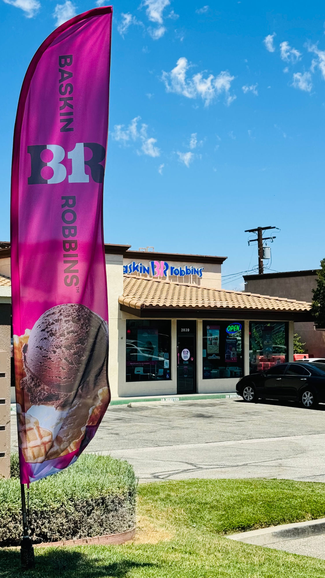 Baskin-Robbins Storefront Flag