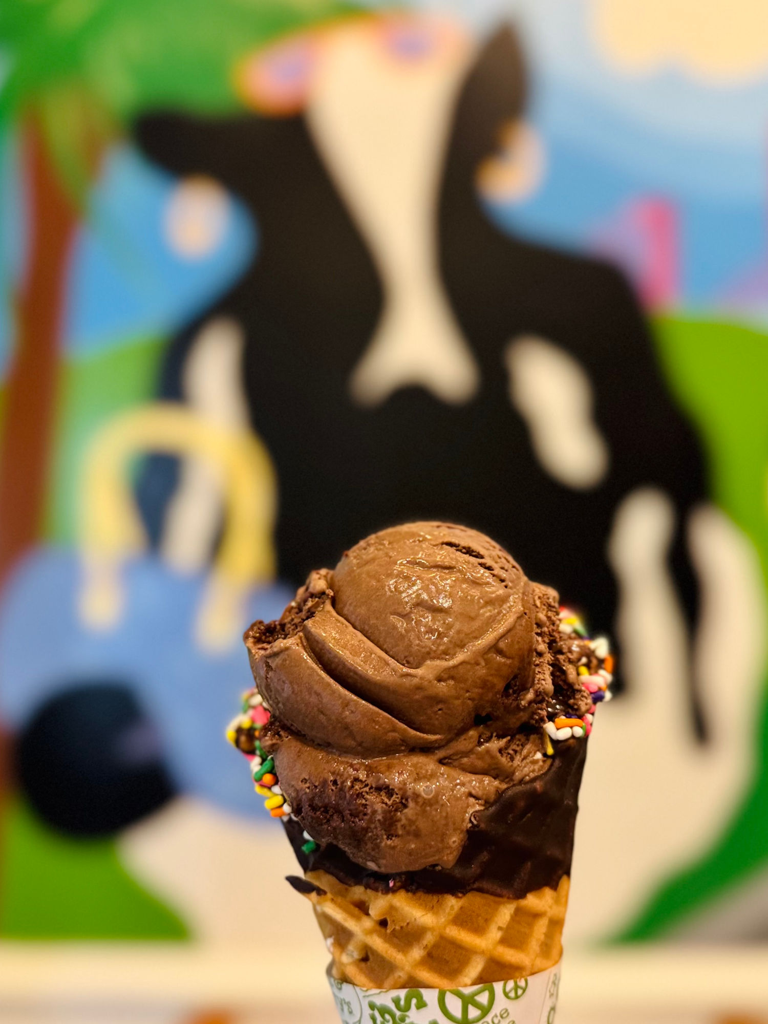 Ben & Jerry's Chocolate Fudge Brownie Cone