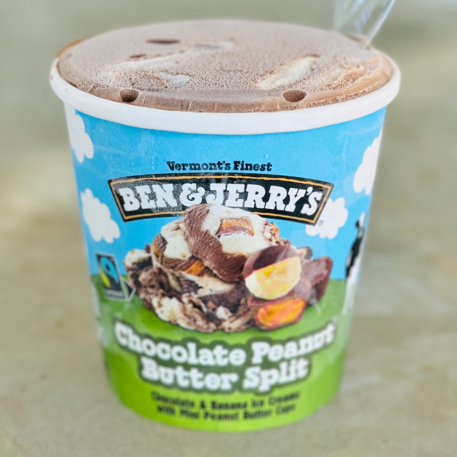 Ben & Jerry's Pint Chocolate Peanut Butter Split