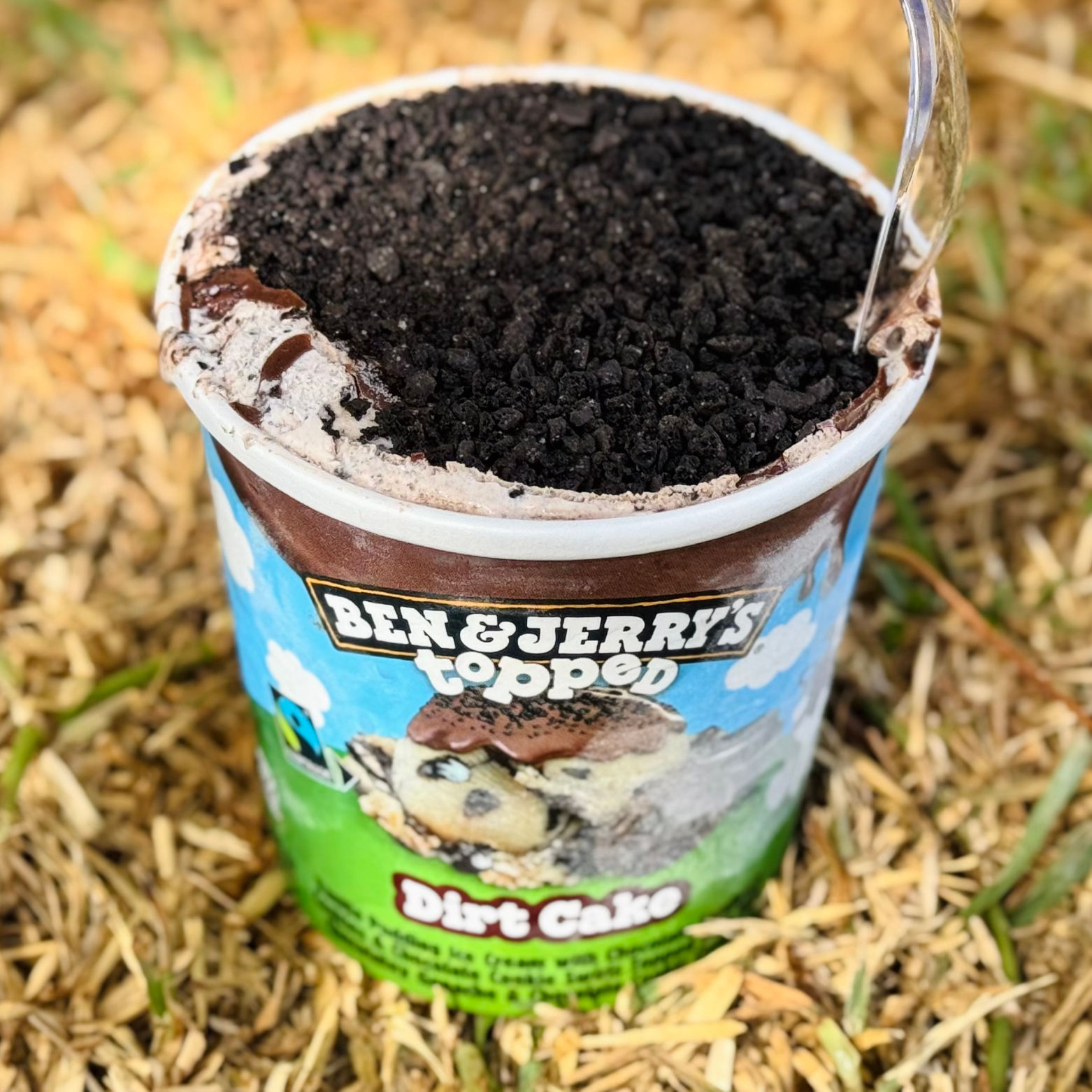 Ben & Jerry's Pint Dirt Cake