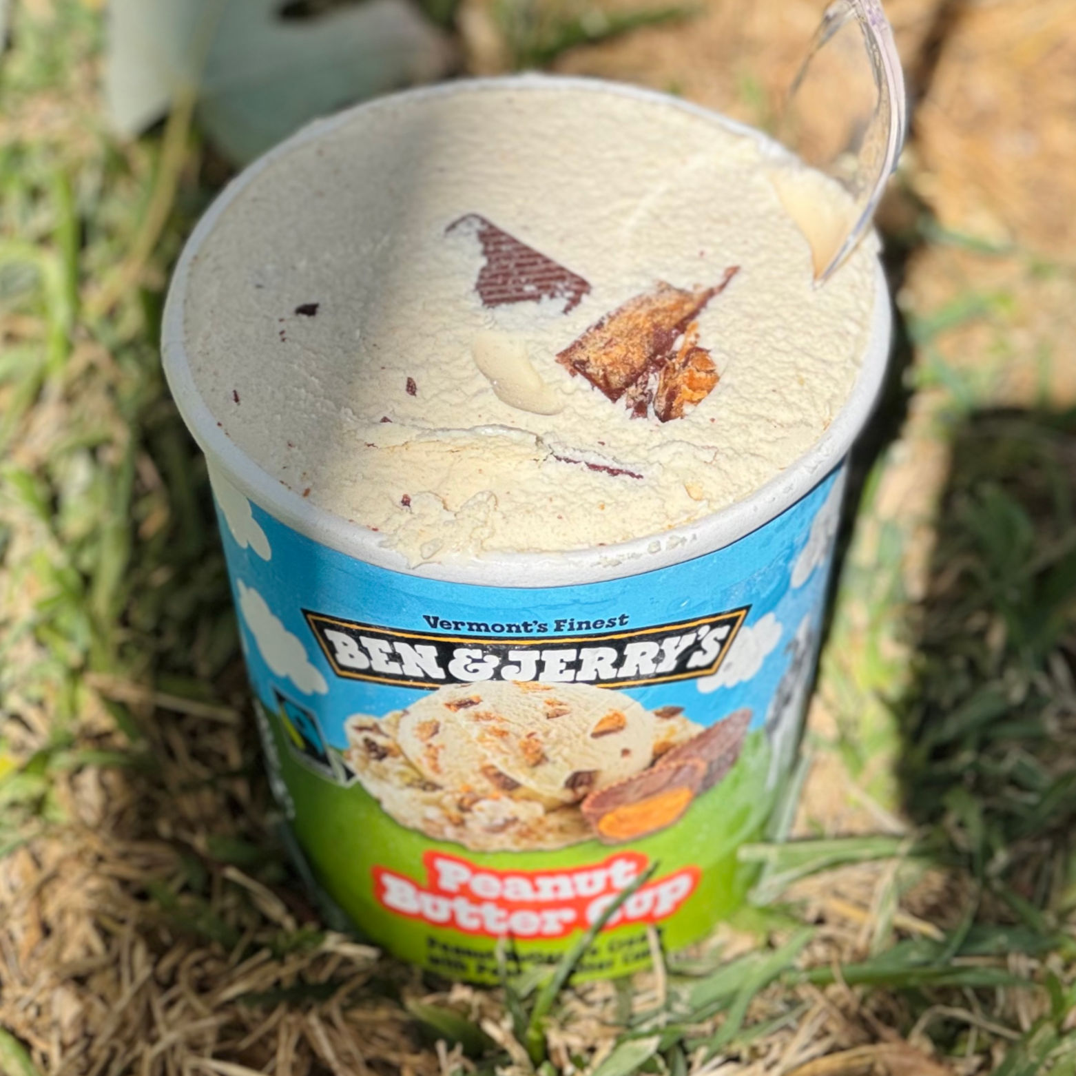 Ben & Jerry's Pint Peanut Butter Cup