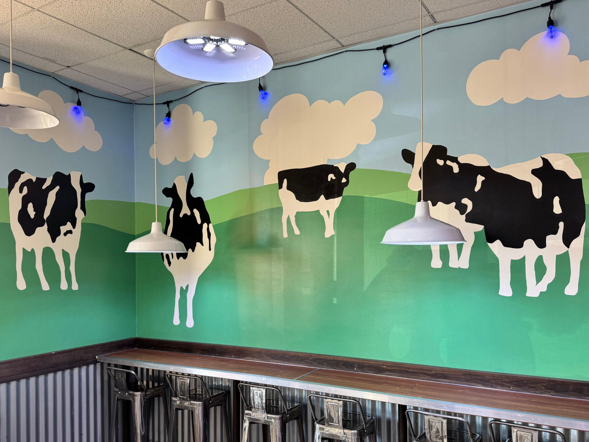 Ben & Jerry's Valencia Cows