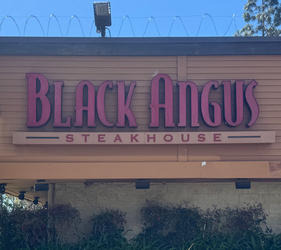 All About Black Angus