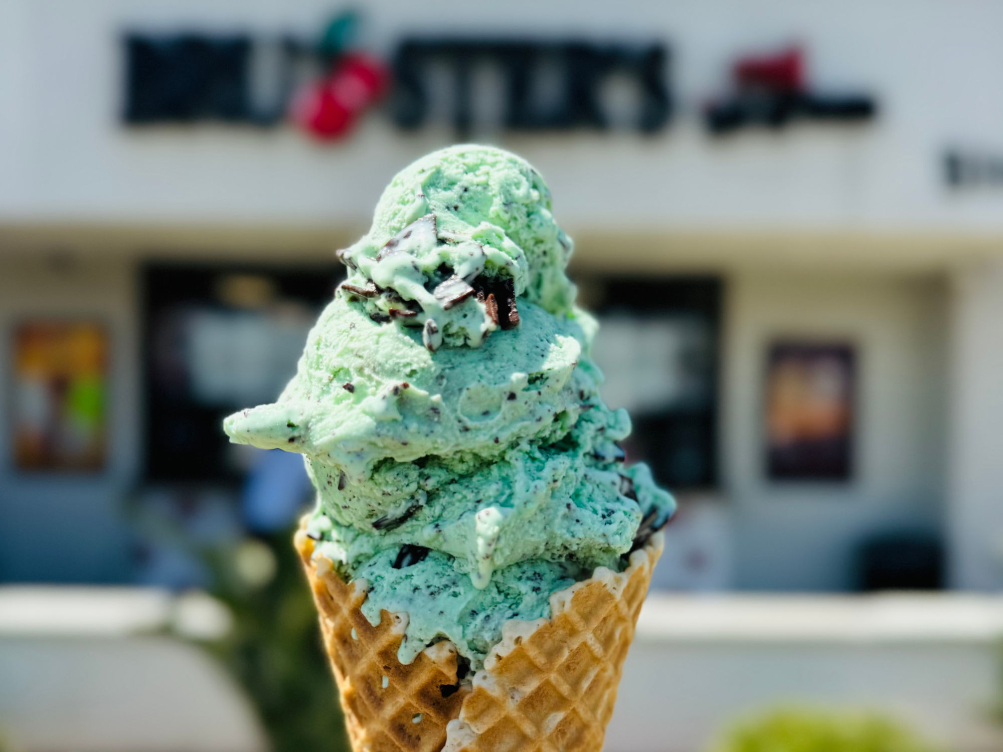 Bruster's Ice Cream Mint Chocolate Chip