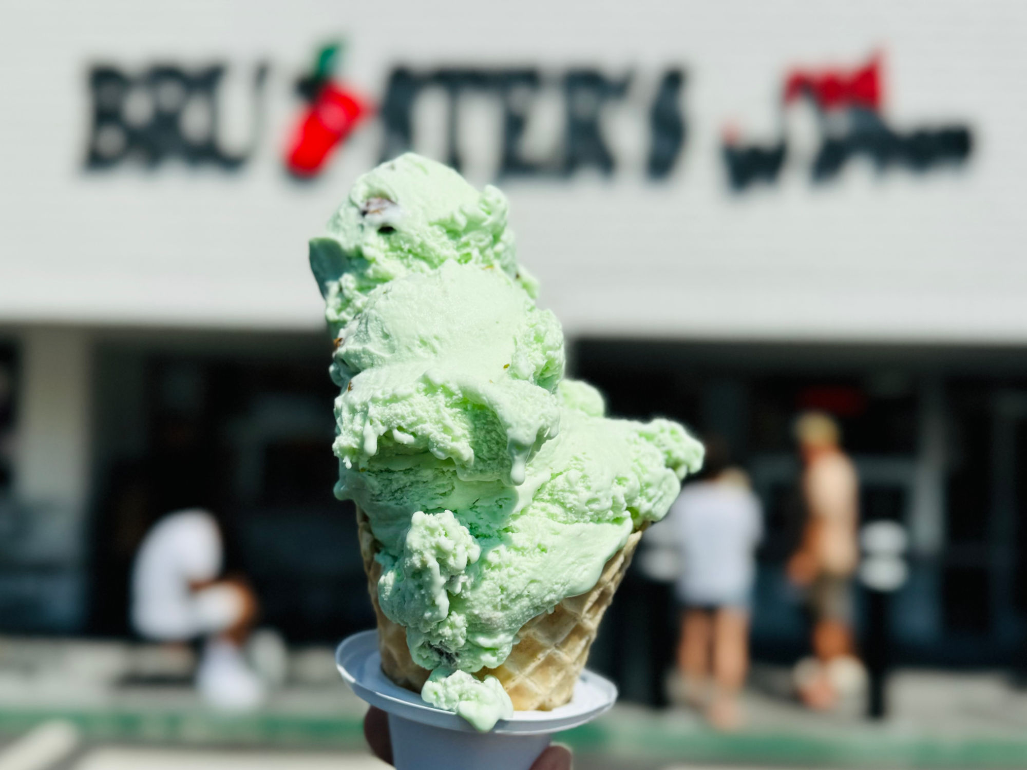 Bruster's Ice Cream Pistachio