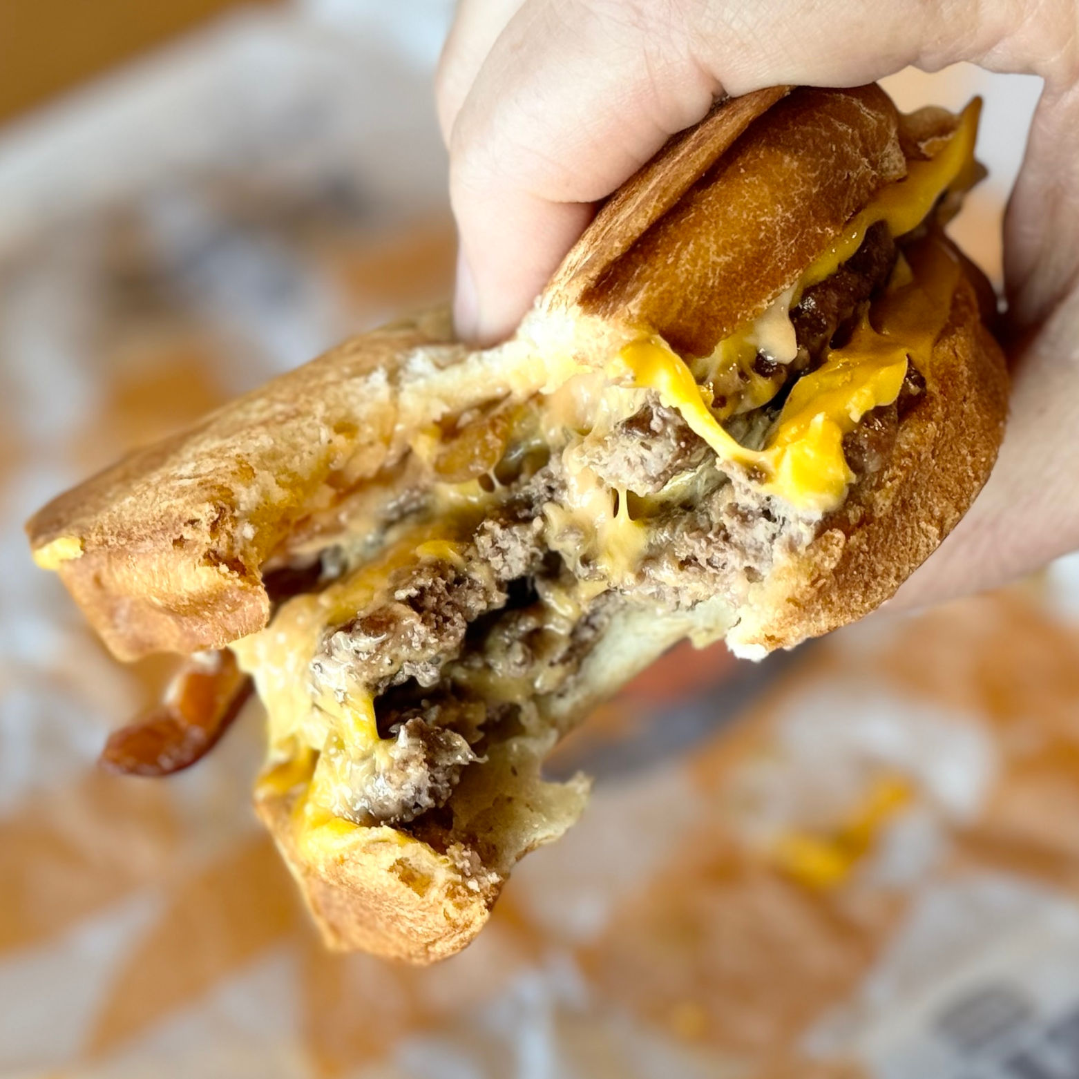 Burger King Bacon Melt Sandwich