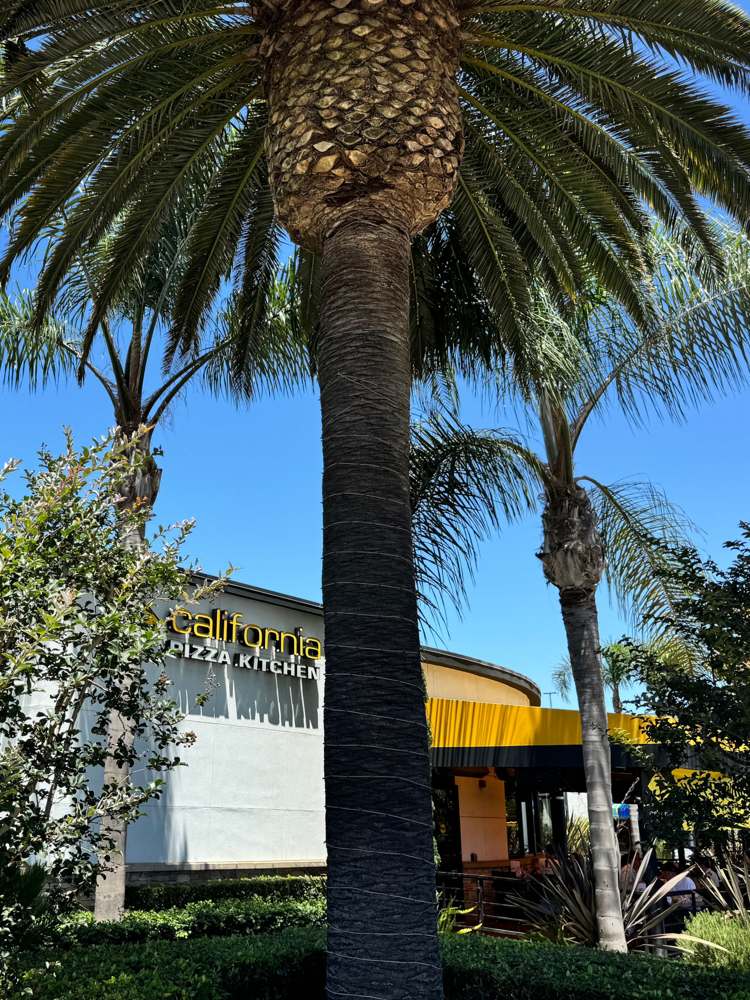 California Pizza Kitchen Huntington Beach