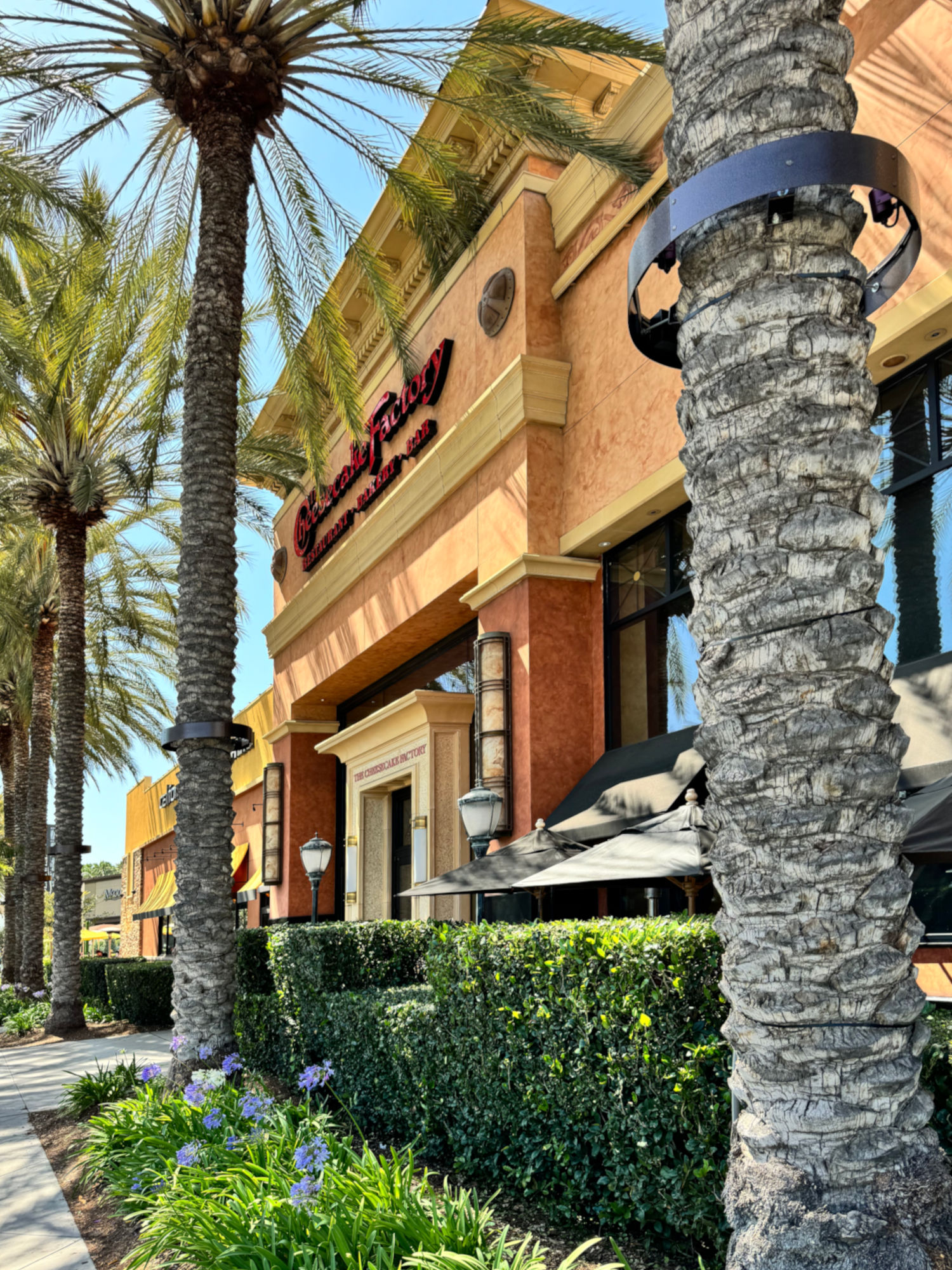 Cheesecake Factory Anaheim