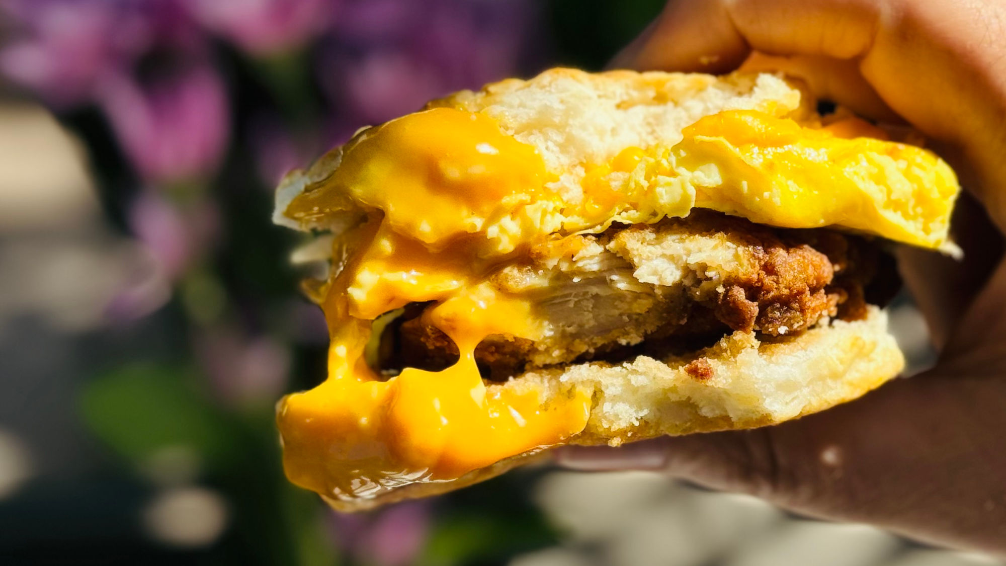 Chick-fil-A Chicken Egg & Cheese Biscuit