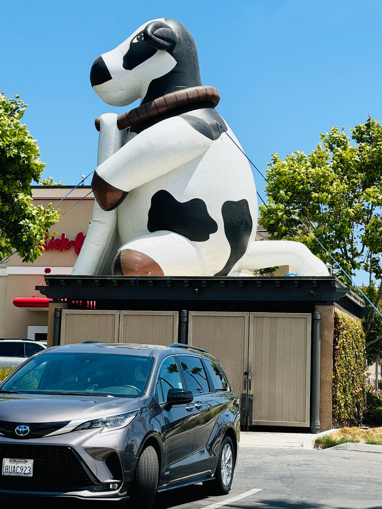 Chick-fil-A Cow