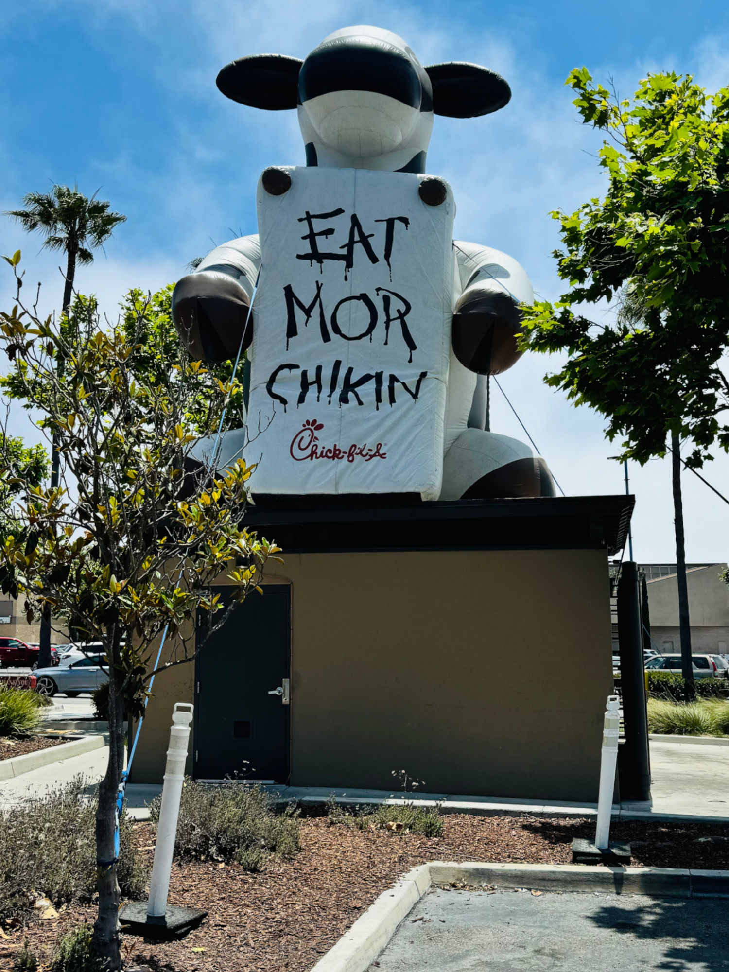 Chick-fil-A Eat Mor Chikin