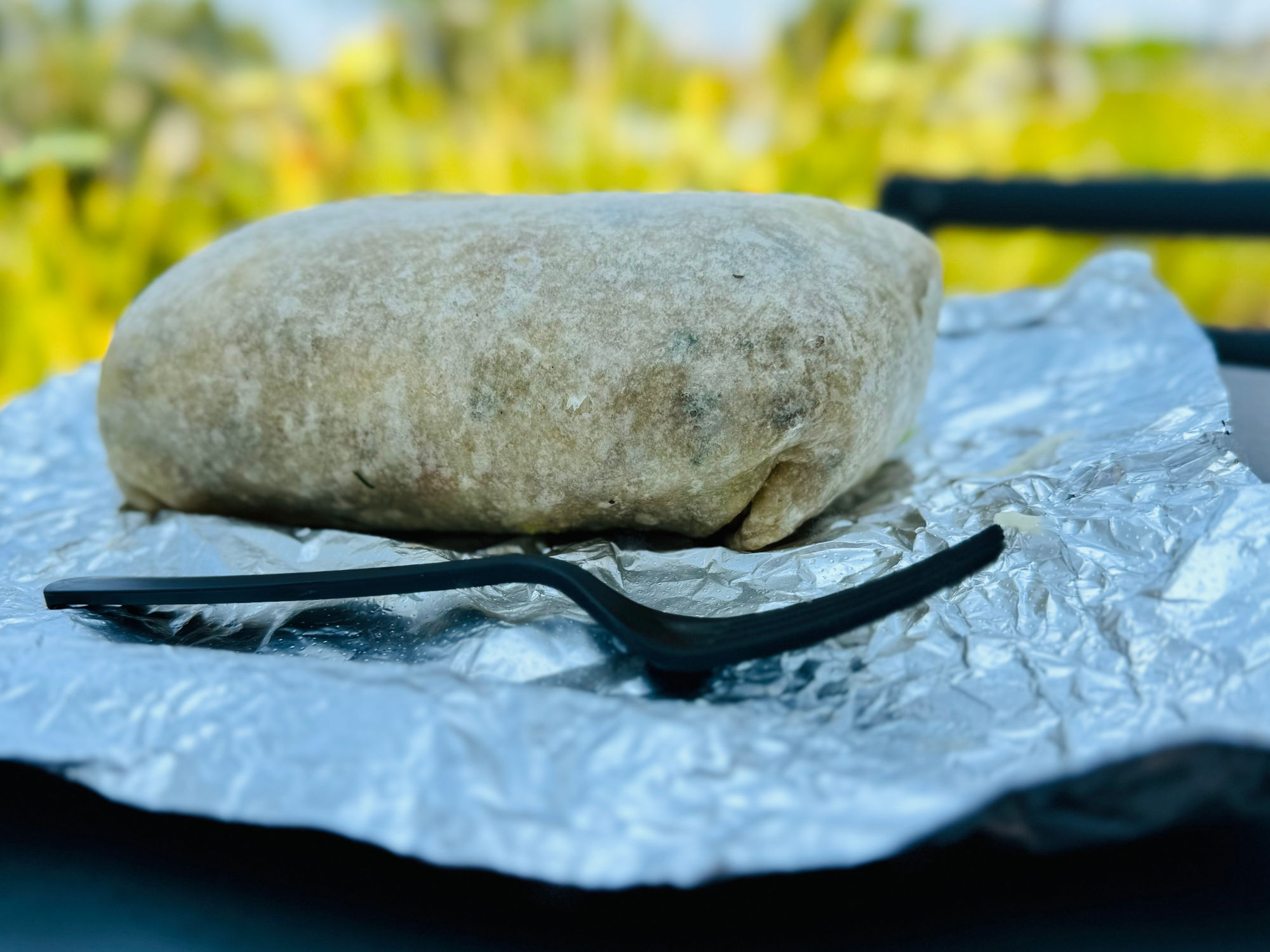 Chipotle Burrito