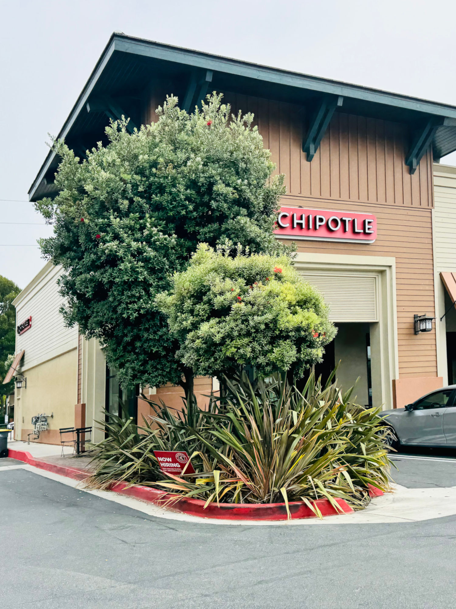 Chipotle Channel Islands