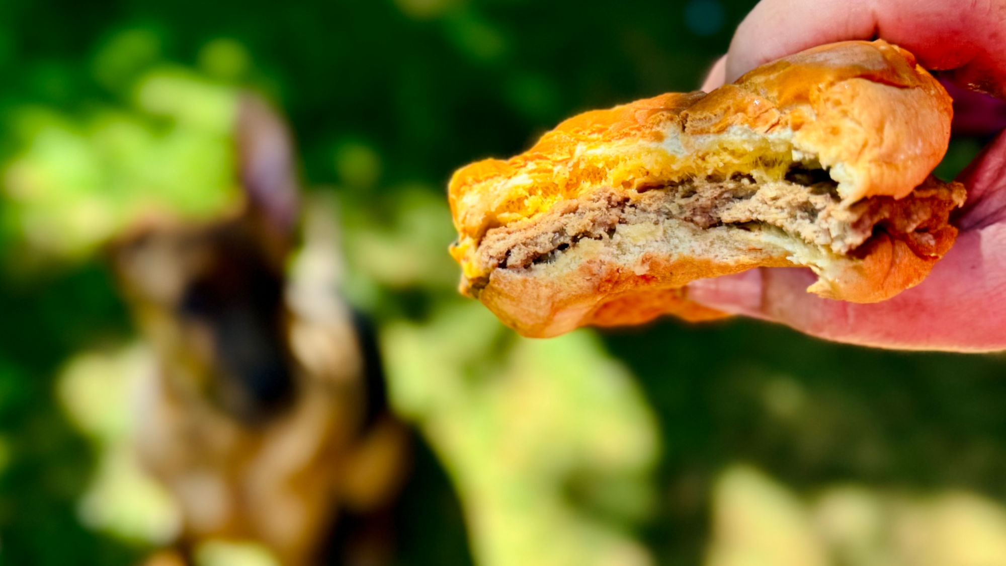 Circle K Beef Chargrilled Cheeseburger