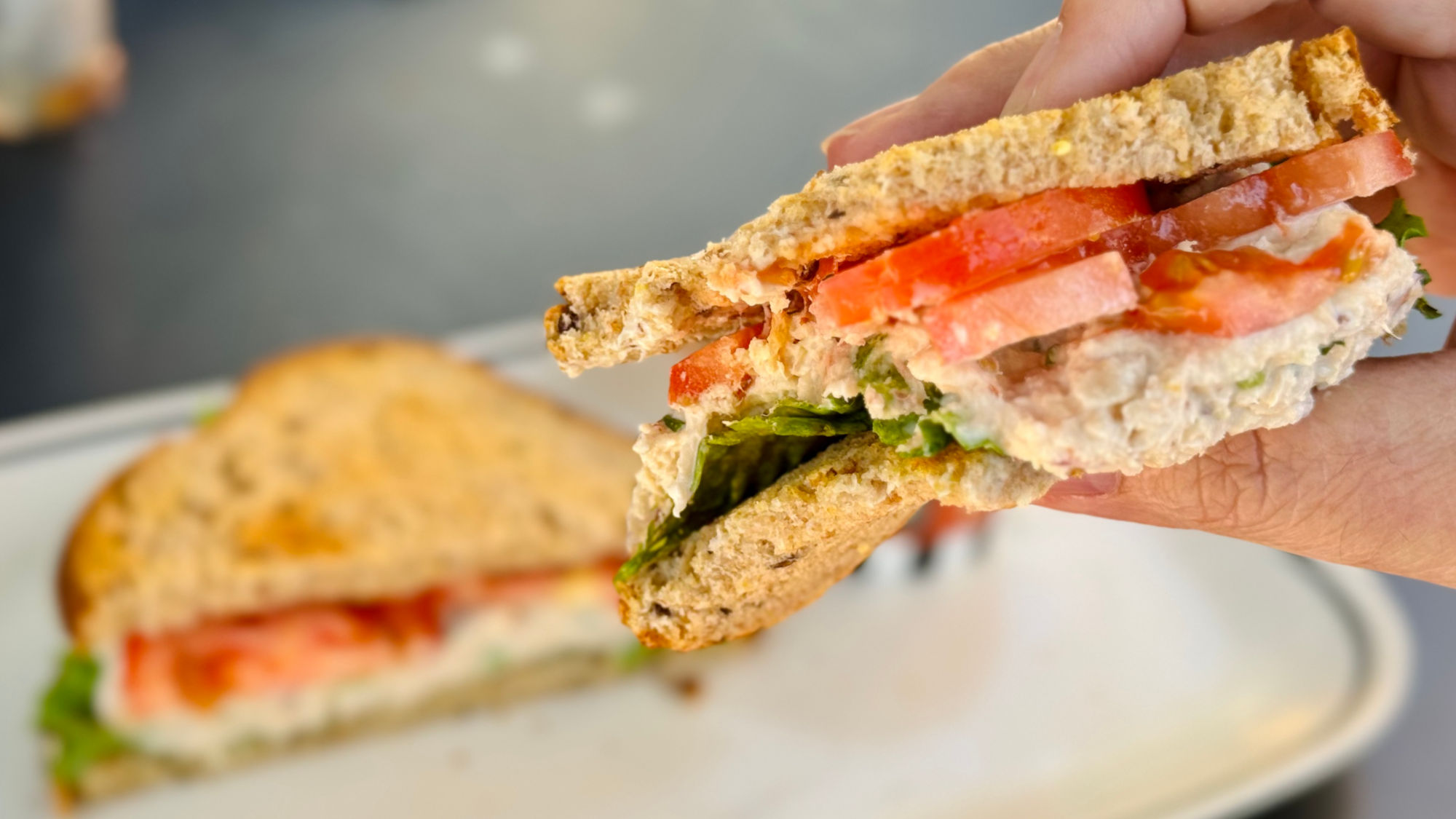 Corner Bakery Cafe Albacore Tuna Salad Sandwich