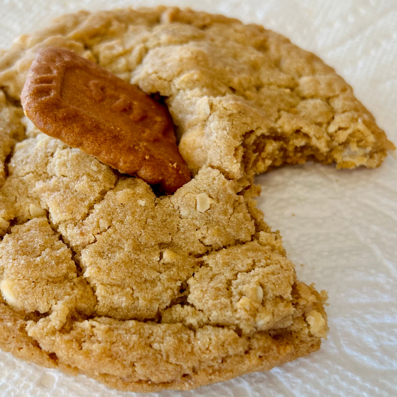 Crumbl Cookies Cookie Butter White Chip Featuring BISCOFF