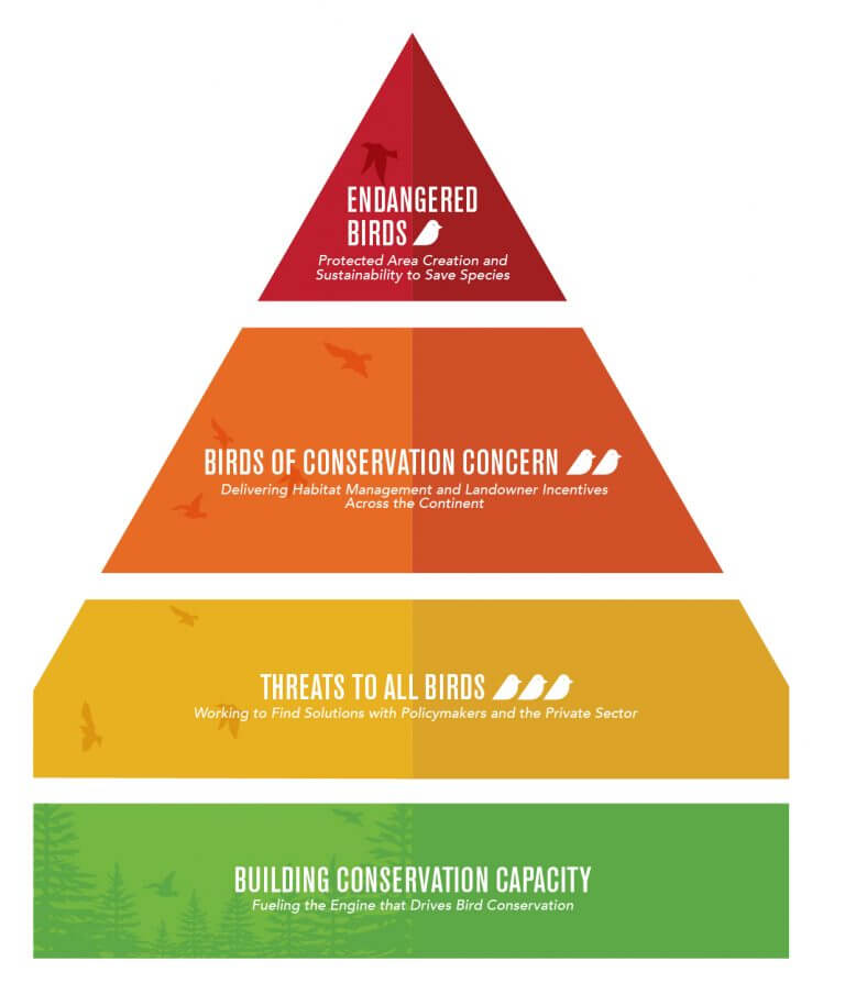 American Bird Conservancy Strategic Framework