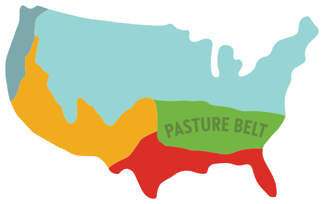 Vital Farms Pasture Belt