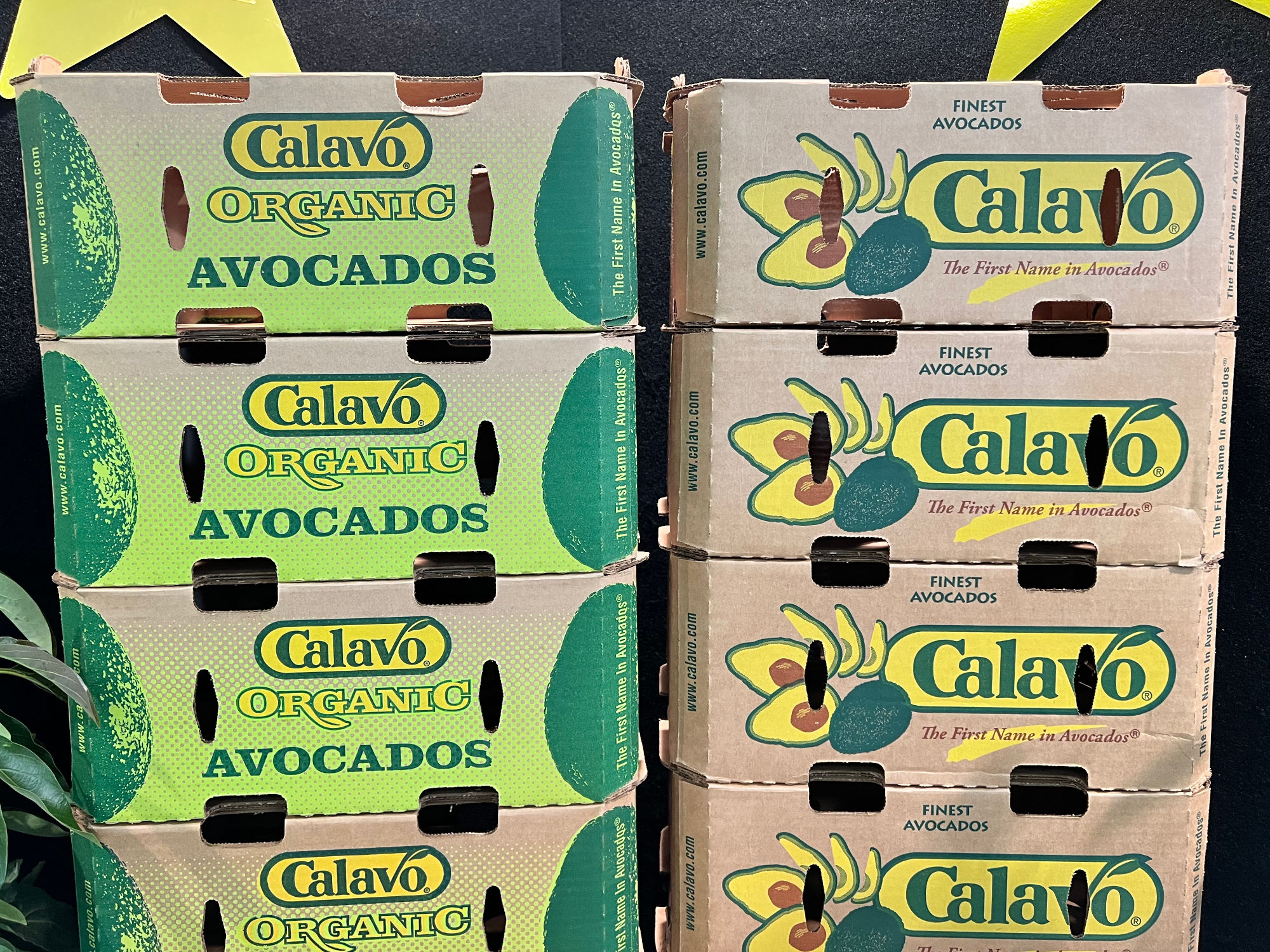 Calavo Growers Organic Avocados