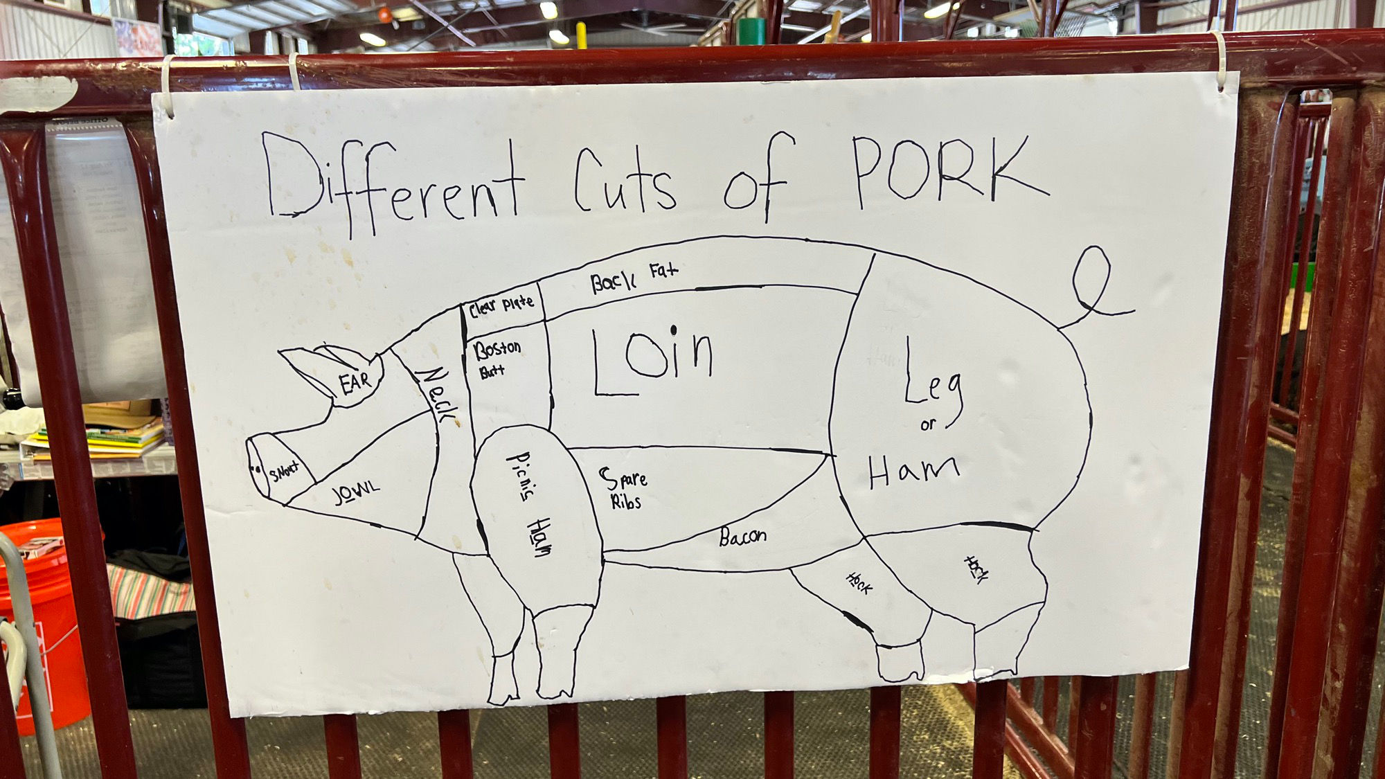 Different Cuts of Pork