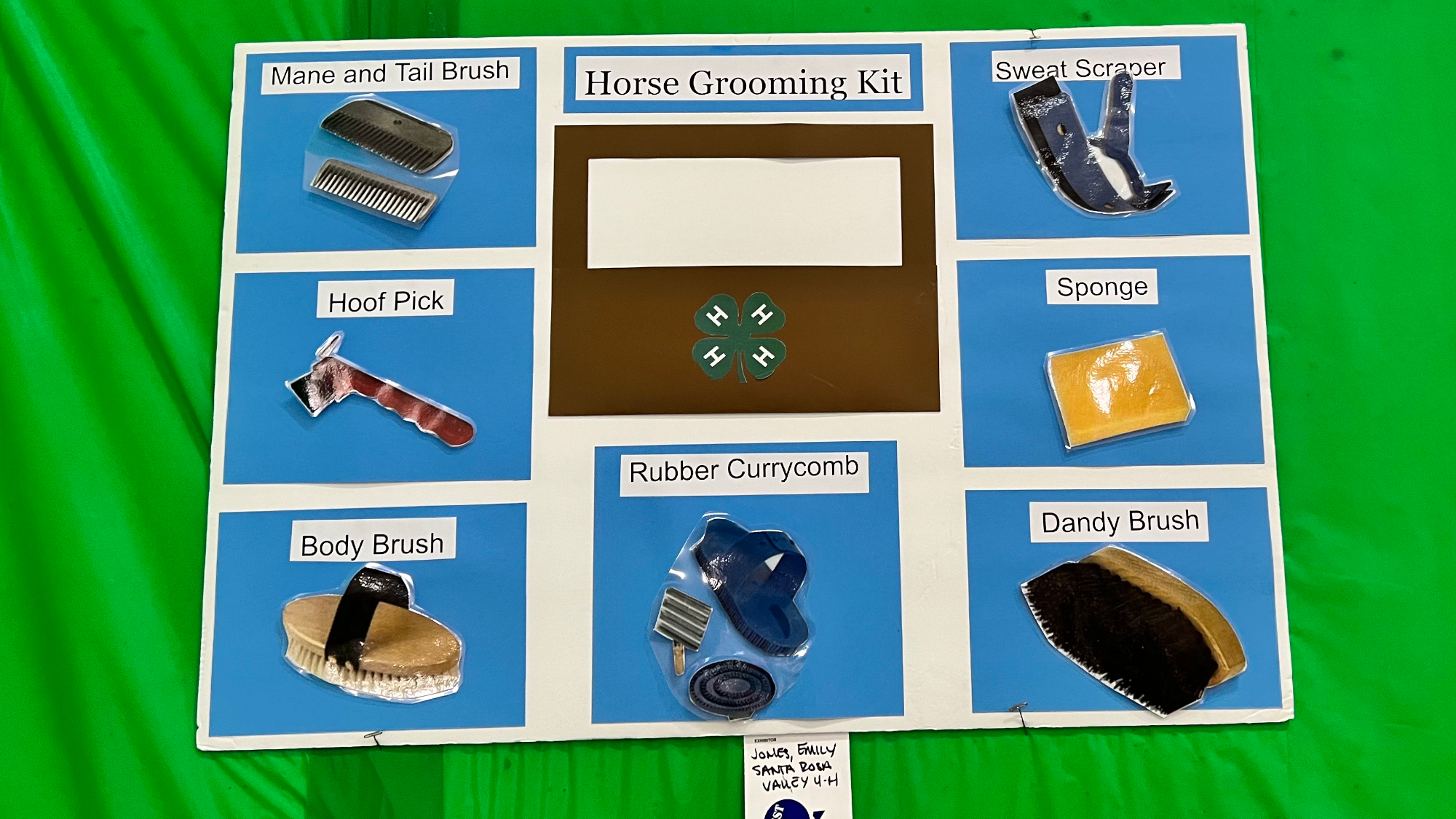 Youth Expo Horse Grooming Kit