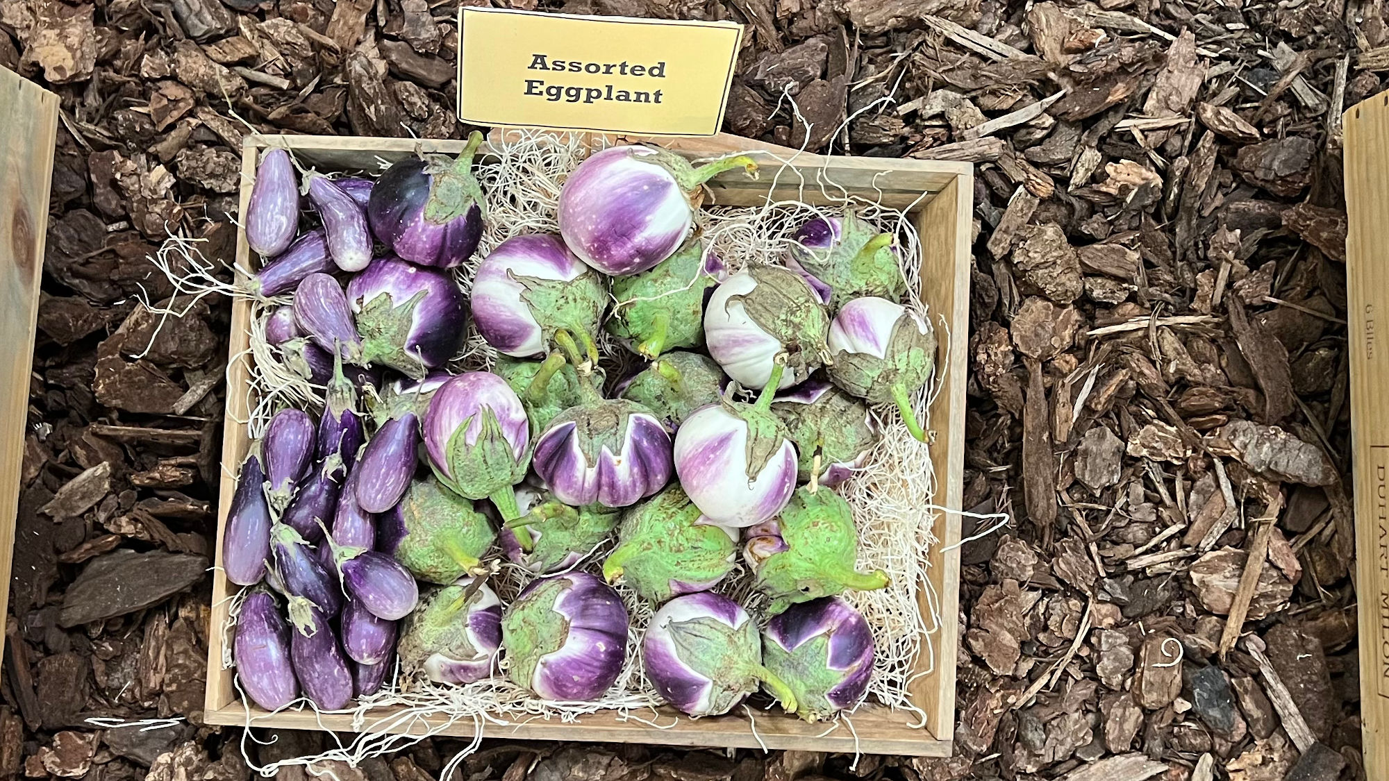 Underwood Family Farms Assorted Eggplant