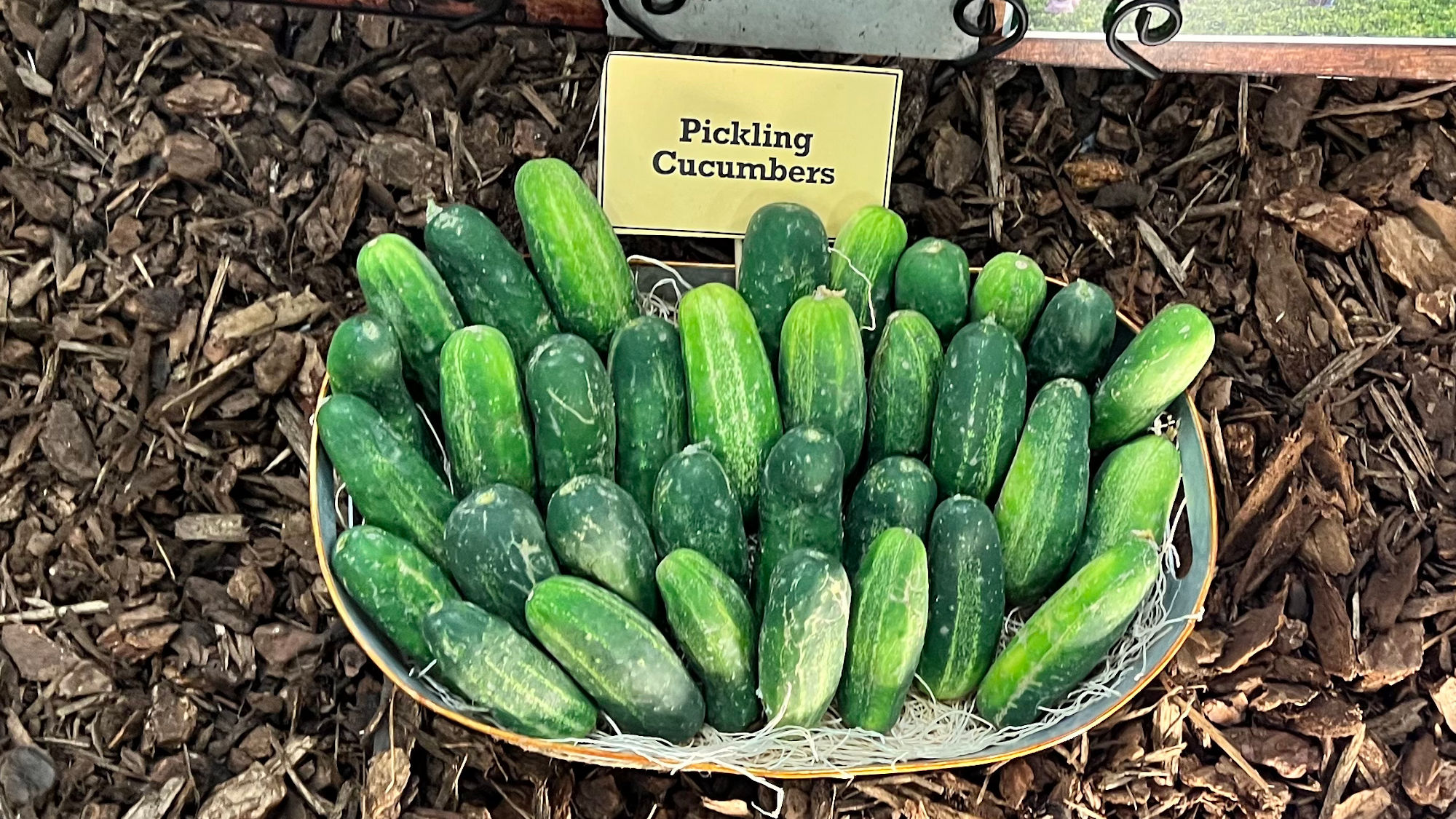 Underwood Family Farms Pickling Cucumbers