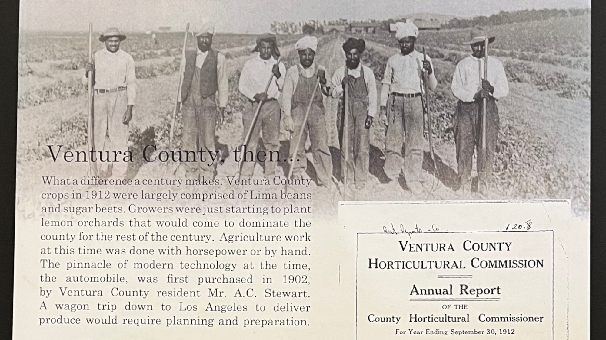 Ventura County Agriculture 1912